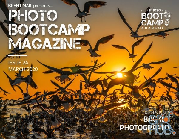 Photo BootCamp – March 2020 (PDF)