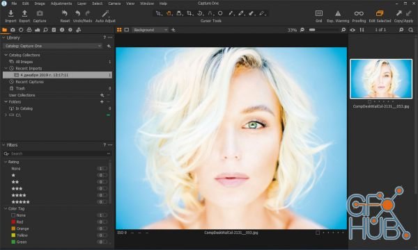 Capture One 20 Pro 13.0.4.8 (x64) Multilingual Win/Mac x64