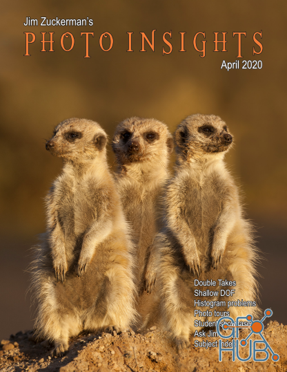 Photo Insights - April 2020