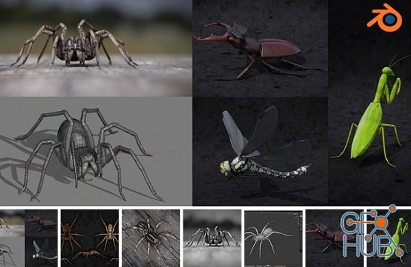 Blender Market – Insect And Spiders Creation Full Course