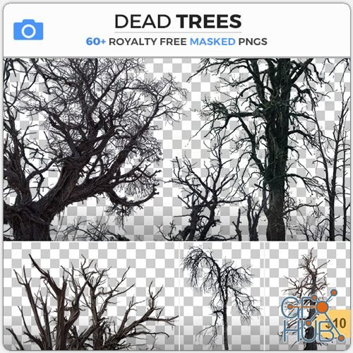 PHOTOBASH – Dead Trees