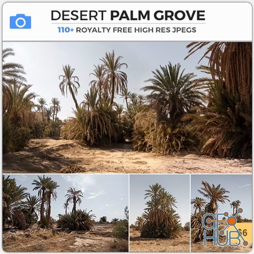 PHOTOBASH – Desert Palm Grove