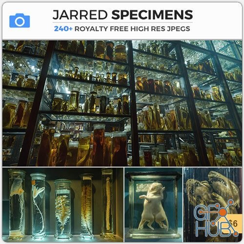 PHOTOBASH – Jarred Specimens