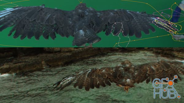 FXPHD – AFX230 – Compositing in After Effects – Eagle Flight Project
