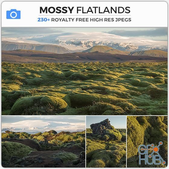 PHOTOBASH – Mossy Flatlands