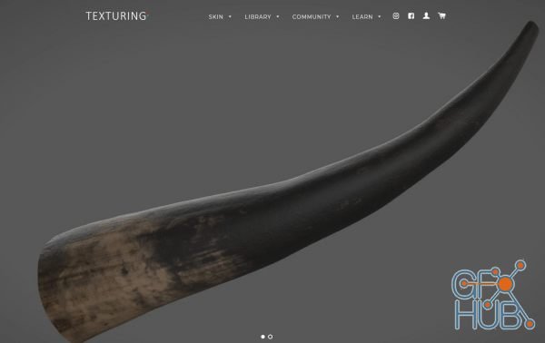 Texturing.xyz – Cow Horn #05