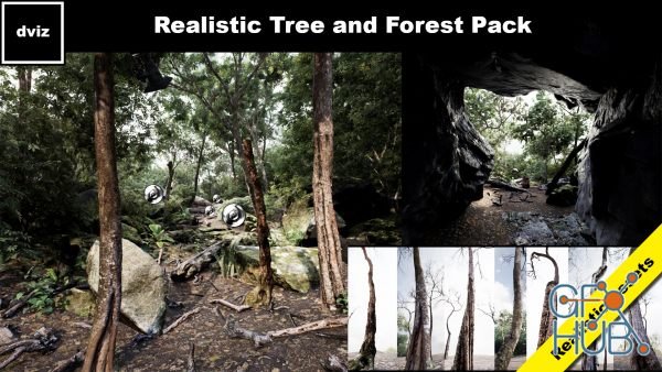 Unreal Engine Asset – Trees: Realistic Forest Plants Pack