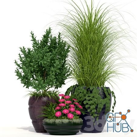 Outdoor Planters