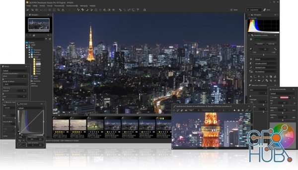 SILKYPIX Developer Studio 10.1.4.1 (x64)