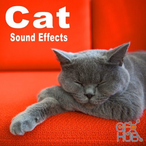The Hollywood Edge Sound Effects Library – Cat Sound Effects