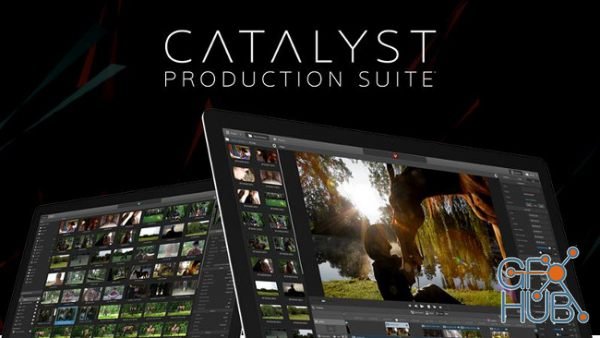Sony Catalyst Production Suite 2019.2.2 Win x64