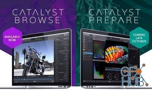 Sony Catalyst Browse Suite 2019.2.2 Win x64