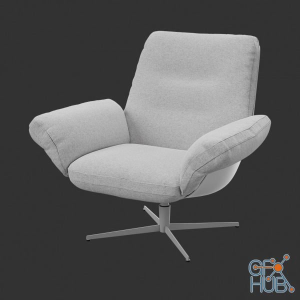 Armchair Softbird 001
