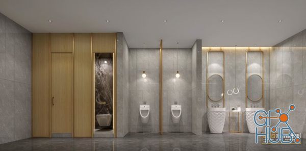 Public Restroom 025