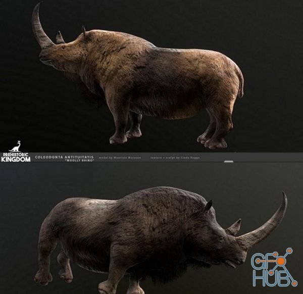 Woolly Rhino PBR
