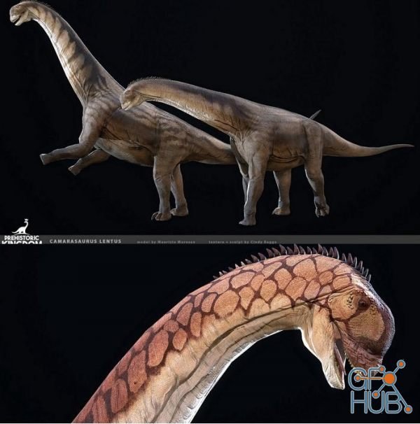 Camarasaurus PBR