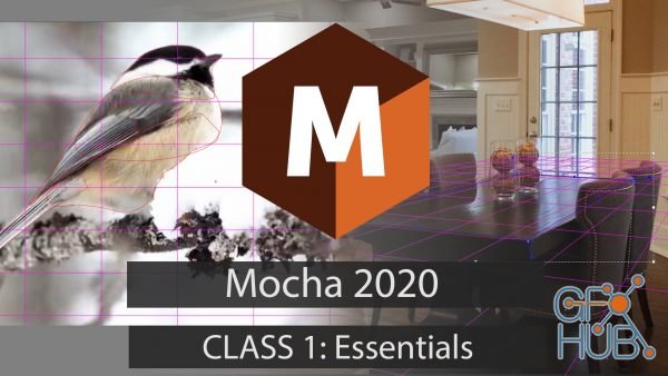 Skillshare – Mocha 2020: Essentials