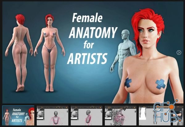 ArtStation – Female anatomy for artists course