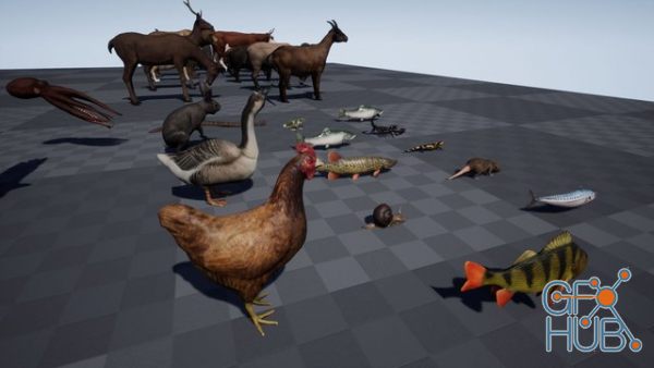 Unreal Engine Asset – Animal Pack Ultra