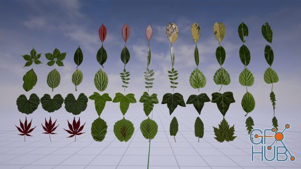 Unreal Engine Asset – Klian Photorealistic Leaves / Foliage Pack 4K v4.25