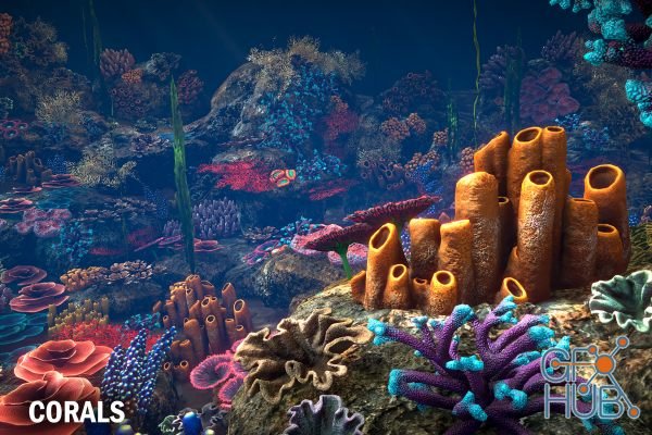 Unity Asset – Corals v1.0
