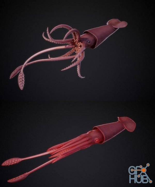 Giant Squid PBR