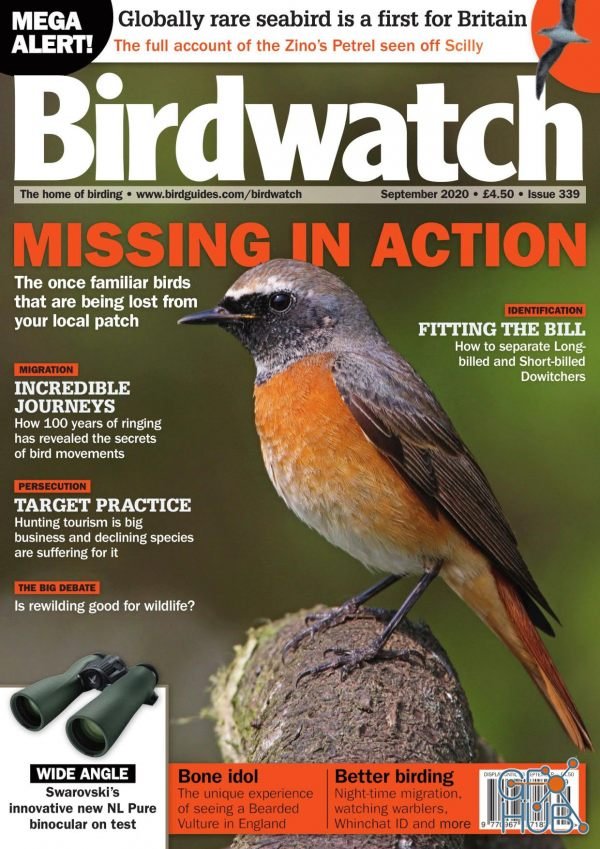 Birdwatch UK – September 2020 (PDF)