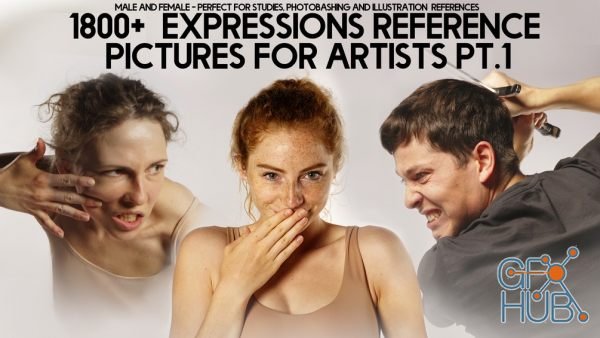 Gumroad – 1800+ Expressions Reference Pack for artists