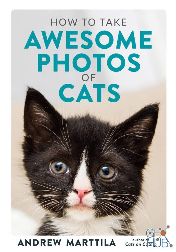 How to Take Awesome Photos of Cats (EPUB)
