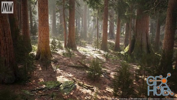 Unreal Engine Asset – Redwood Forest Biome