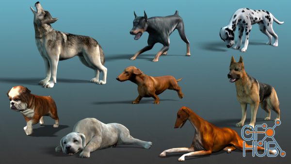 Unity Asset – Dog Pack