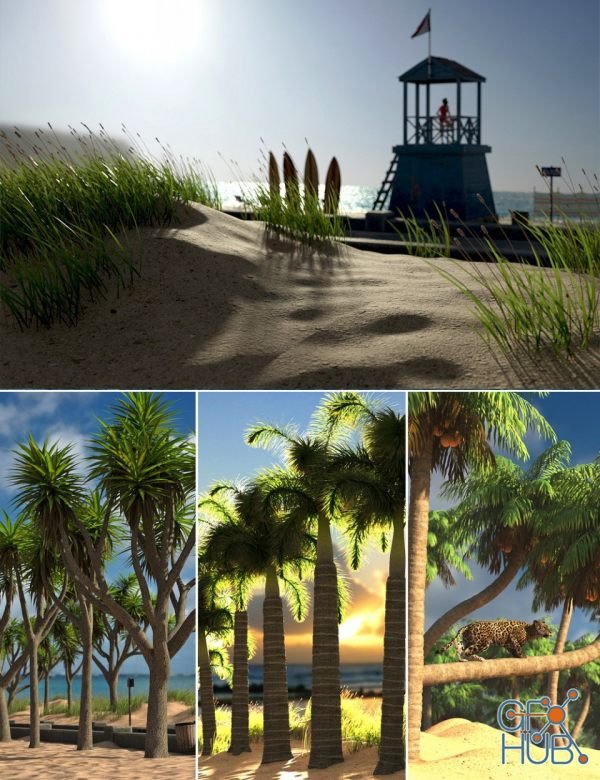 Seaside Walkway and Palm Tree Bundle