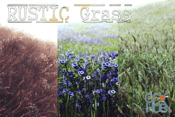 Unity Asset – RUSTIC Grass v1.25