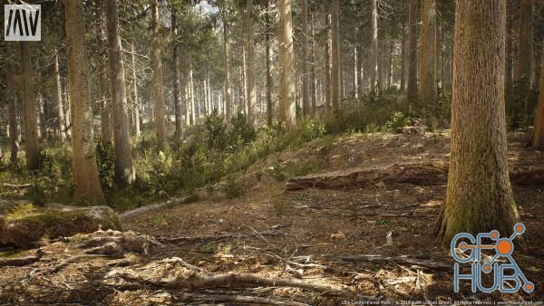 Unreal Engine Asset – Conifer Forest Biome