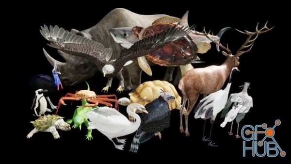 Unreal Engine Asset – Complete Animals v4.25