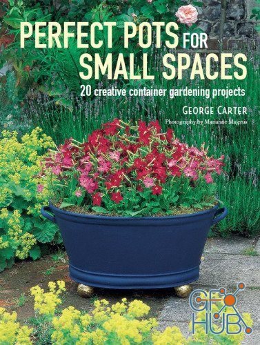 Perfect Pots for Small Spaces – 20 creative container gardening projects (EPUB)