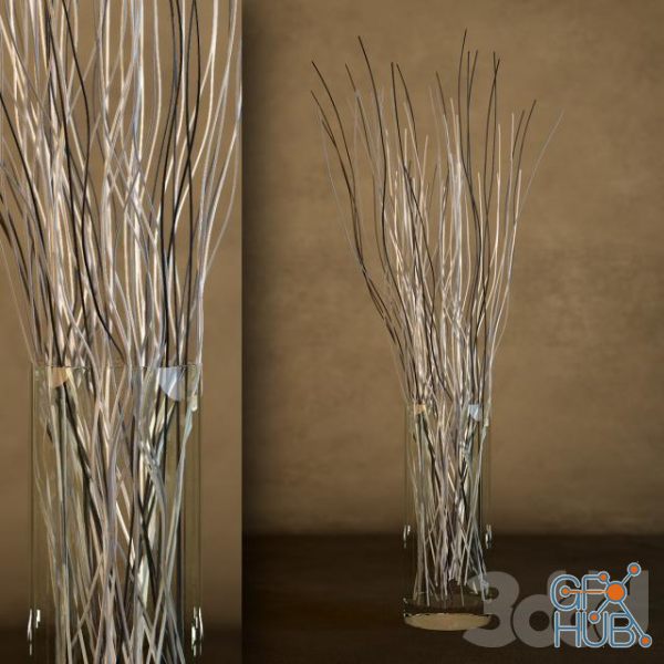 Vase With Branches