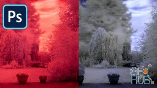 Skillshare – Infrared RAW Photography Post Processing in Photoshop CC 2021
