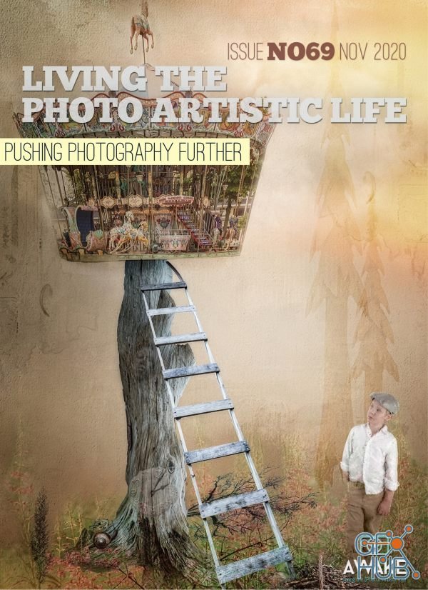 Living The Photo Artistic Life – November 2020 (True PDF)