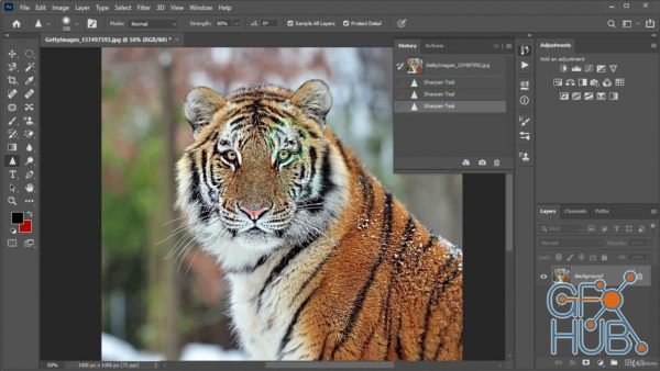 Udemy – Adobe Photoshop 2020 – Beginner Essentials Training Course