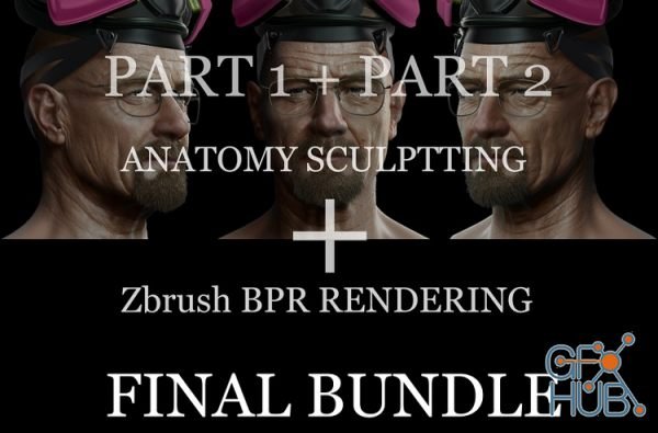 Gumroad – Anatomy Sculpting and ZBrush BPR Package (Requsted)