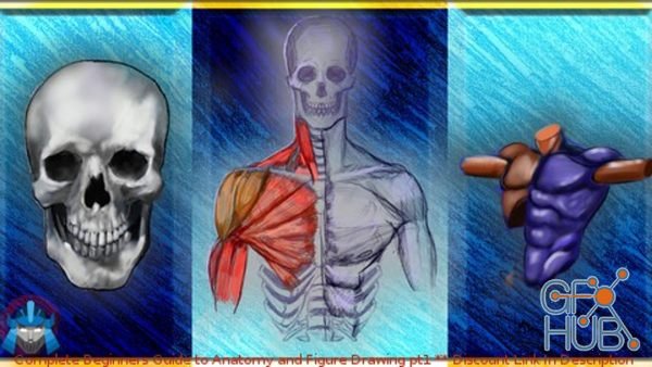 Udemy – Complete Beginner's Guide to Anatomy and Figure Drawing pt1