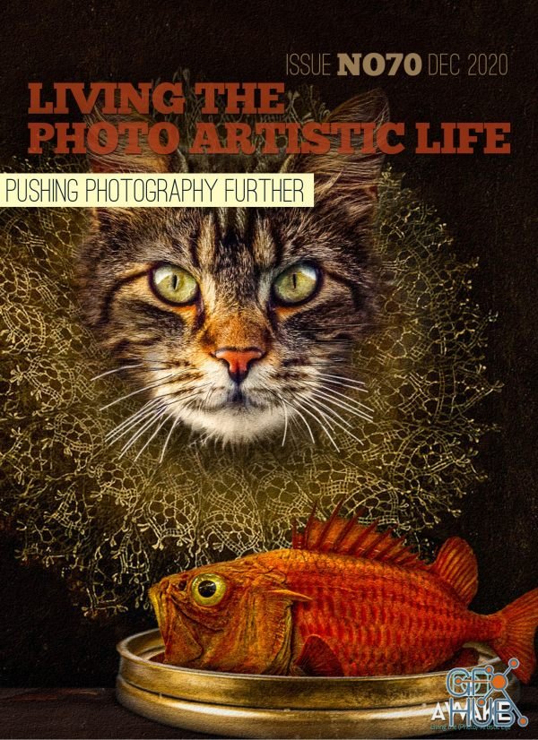 Living The Photo Artistic Life – December 2020 (PDF)