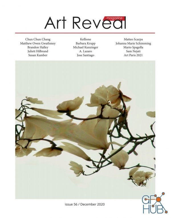 Art Reveal – Issue 56, December 2020 (PDF)