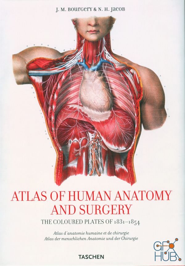 Atlas of Human Anatomy and Surgery The complete colored Plates of 1831-1854