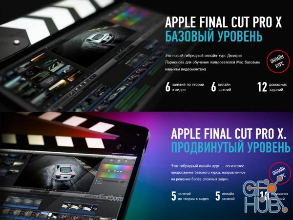 Profileschool – Final Cut Pro Beginner & Advanced modules (RUS)