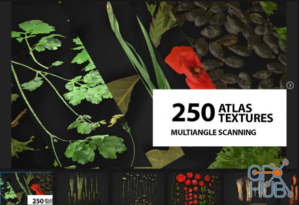 ArtStation Marketplace – Huge atlas pack (250) / Foliage / Spice / Decals
