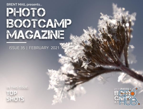 Photo BootCamp – February 2021 (PDF)