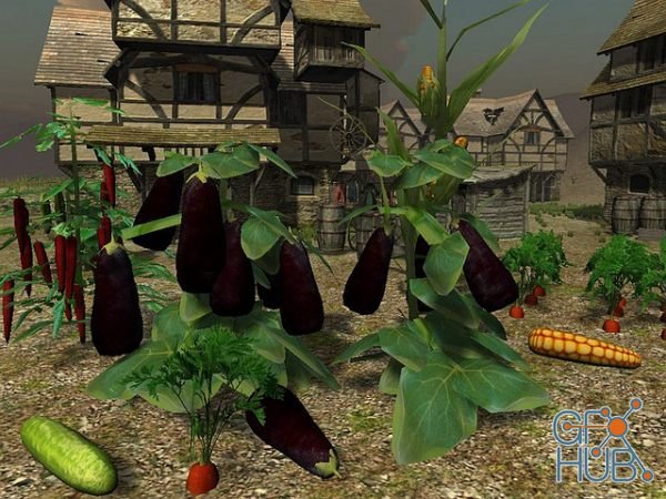 Unity Asset – Vegetable Plants