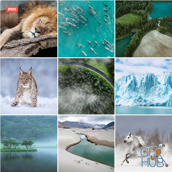 Phlearn Pro – Vibrant Nature LUTs for Photo & Video